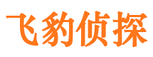 久治市出轨取证